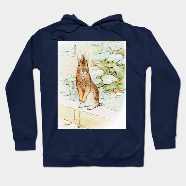 Peter Rabbit Lost in the Garden Hoodie by forgottenbeauty